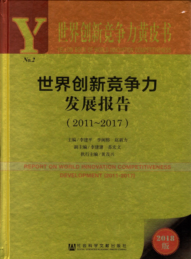 好大插进去了好大好湿视频世界创新竞争力发展报告（2011-2017）